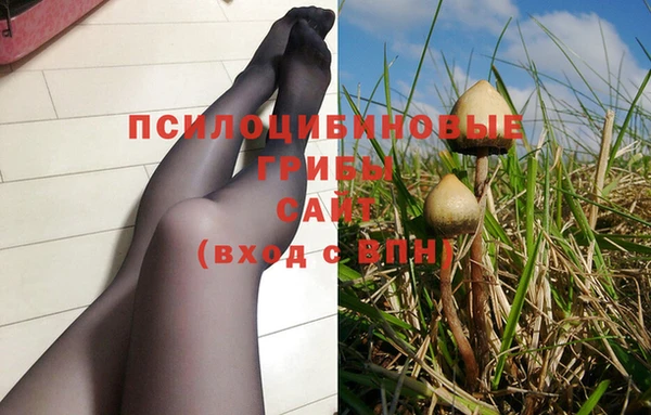 соль ск Алексеевка