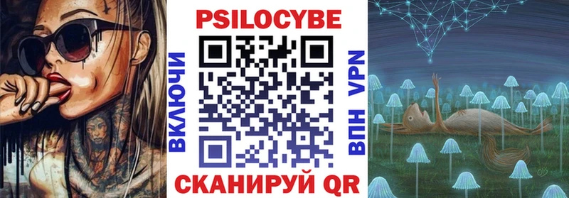 Псилоцибиновые грибы Psilocybine cubensis  купить   Волгоград 